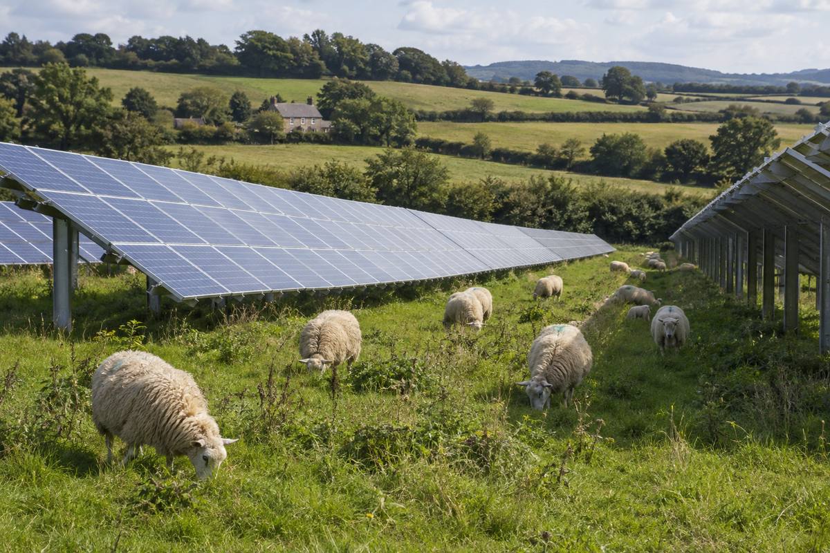 Solar Farm Land Lease: A Landowner's Guide to Rents, Terms and Choosing a Developer