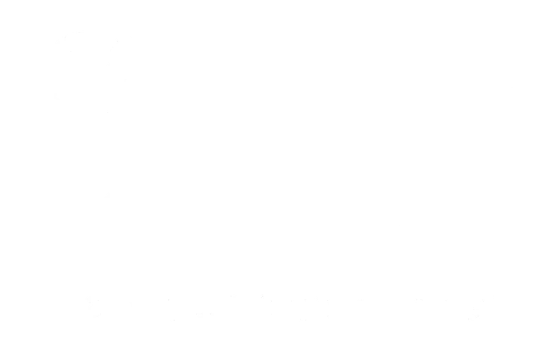 Dijkman Zonne-Energie B.V. logo