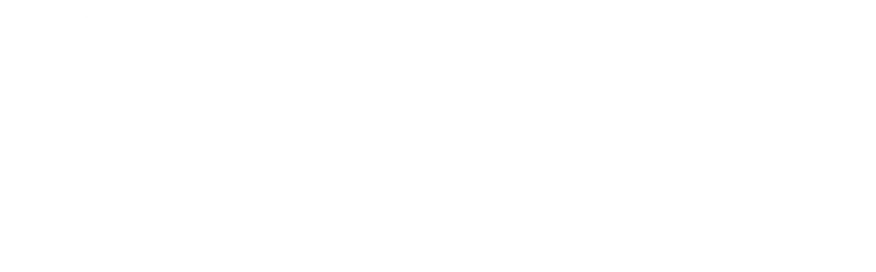 Elekt Solutions logo