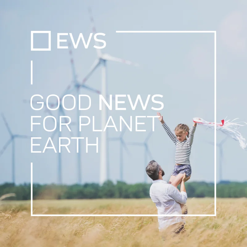 EWS Consulting GmbH - Kompetenzzentrum Windenergie und Agri-Photovoltaik logo