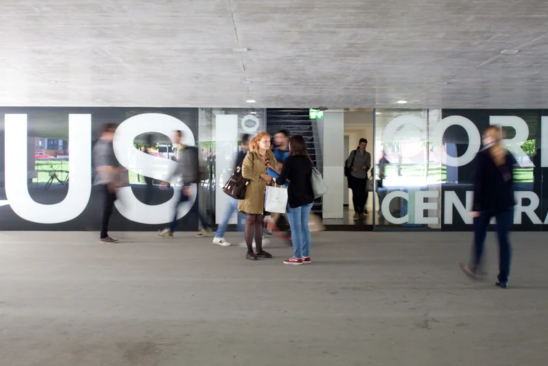 Istituto Ricerche Solari Locarno logo