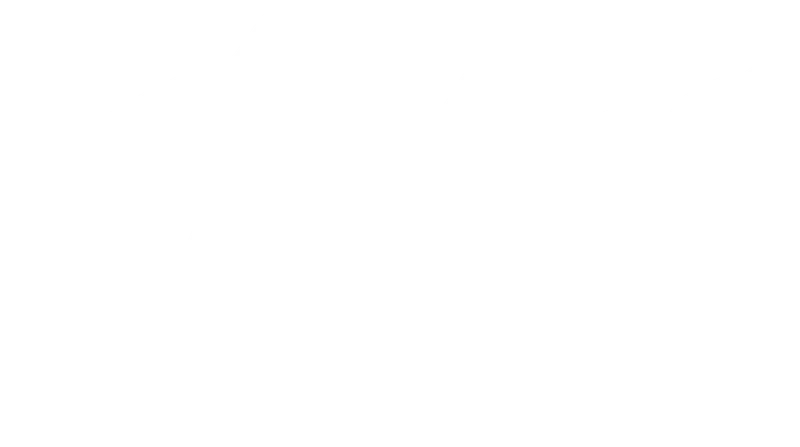 Parkys Solar logo