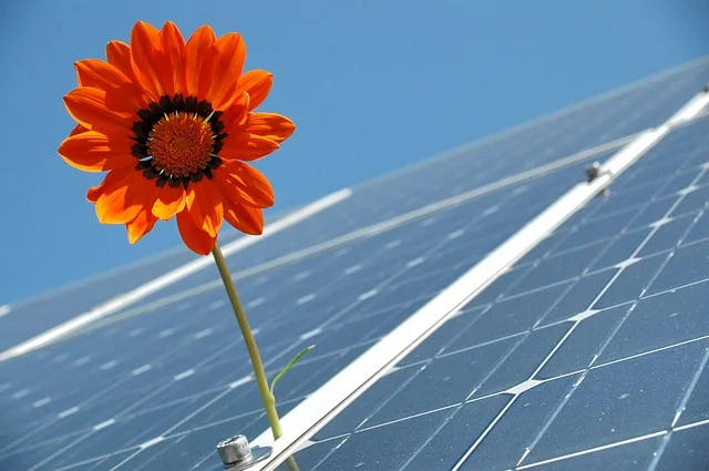Proinsolar logo