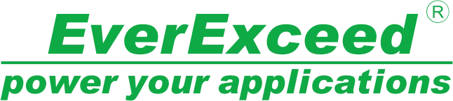 Shenzhen EverExceed Industrial Co., Ltd. logo