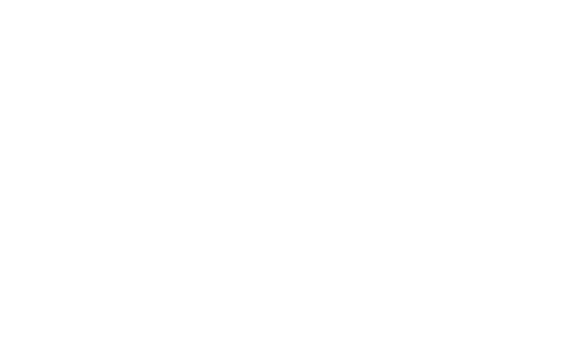 Steinhauer logo