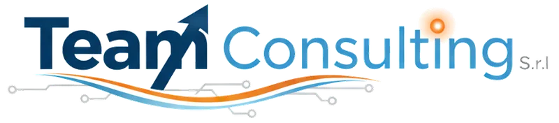 Team Consulting S.r.l. logo